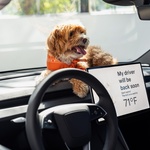 Stiže najjeftiniji Tesla Model 3. Poznata je i cijena, početna od  37.970 eura (foto: Tesla)