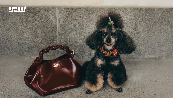 "Gondola torbe": Must-have dodatak za proljeće 2026.