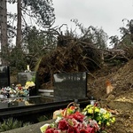 Mirogoj! Ništa više kao što je nekad bilo. Da ti srce stane, za plakanje. Na najpoznatijem svjetskom groblju palo je i više od 300 stabala (foto: Igor Stažić / Start)