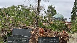 Mirogoj! Ništa više kao što je nekad bilo. Da ti srce stane, za plakanje. Na najpoznatijem svjetskom groblju palo je i više od 300 stabala