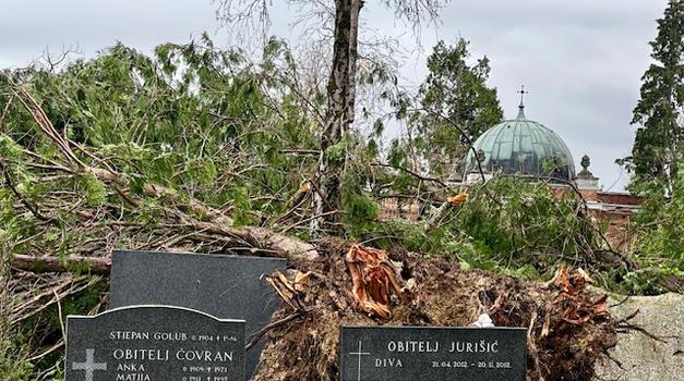 Mirogoj! Ništa više kao što je nekad bilo. Da ti srce stane, za plakanje. Na najpoznatijem svjetskom groblju palo je i više od 300 stabala