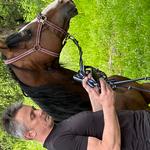 Dubravkina borba za Dudo Di Nonu: dramatična primopredaja otetih konja, Tomaševićev veterinar "pukao" i prozvao Grad da ga je ostavio na cjedilu - razotkriven novi krak afere Hipodrom (foto: Romeo Ibrišević / Start)